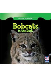 Bobcats in the Dark