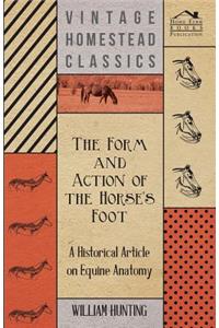 Form and Action of the Horse's Foot - A Historical Article on Equine Anatomy