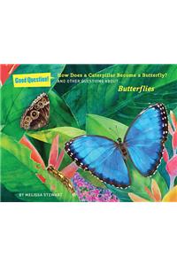 How Does a Caterpillar Become a Butterfly?