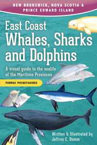 East Coast Whales, Sharks and Dolphins