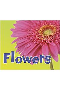 Parts of Plants Pack A of 5