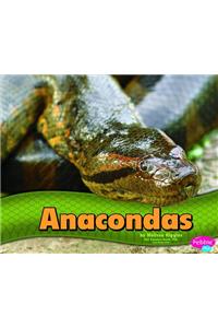 Anacondas