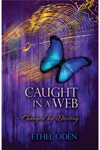 Caught in a Web