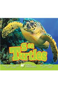 Sea Turtles