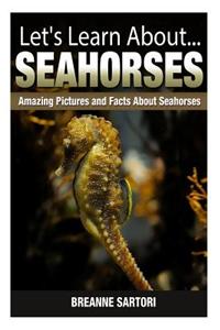 Seahorses