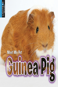 Guinea Pig