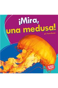 ¡Mira, una medusa! (Look, a Jellyfish!)
