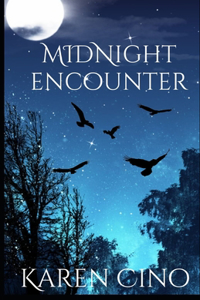 Midnight Encounter