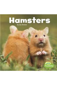 Our Pets Hamsters