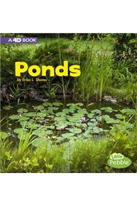 Ponds