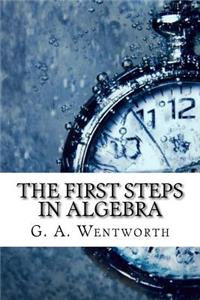 The First Steps in Algebra