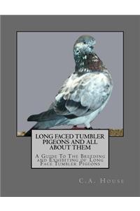 Long Faced Tumbler Pigeons and All About Them
