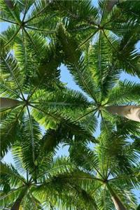 View from my Hammock Palm Trees Tropical Vacation Journal