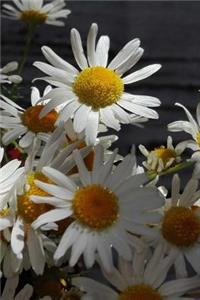 Chamomile Notebook