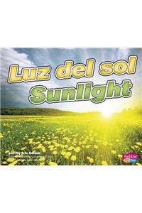 Luz del Sol/Sunlight