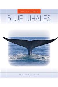 Blue Whales