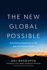 The New Global Possible