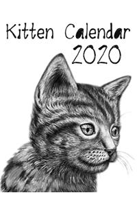 I Love Kitten 2020 Calendar