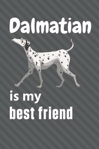 Dalmatian is my best friend