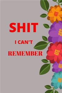 Shit I Can't Remember