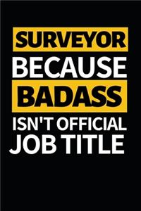 Surveyor Because Badass Isn't Official Job Title