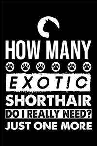 How Many Exotic Shorthair Do I Really Need? Just One More