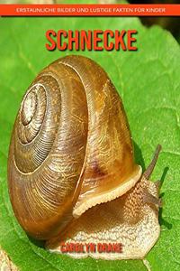 Schnecke