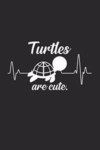 Turtles are cute