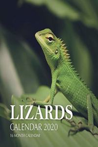 Lizards Calendar 2020