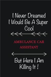 I never Dreamed I would be a super cool Ambulance car assistant But here I am killing it