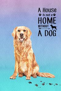 A House is Not a Home Without a Dog