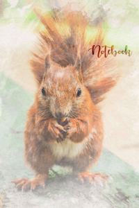 Mrs. Scruffles the cute squirrel, notebook to write in for animal lovers! 120 lined pages, 5 inches x 8 inches