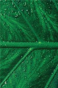 Dew Leaf Journal