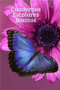 Cuadernos Escolares Bonitos