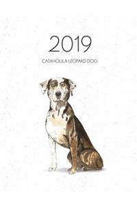 2019 Catahoula Leopard Dog