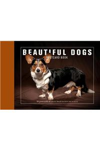 Beautiful Dogs Postcard Book