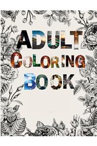 Adult Coloring Book