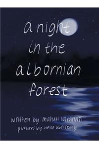 Night in the Albornian Forest
