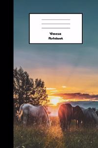 Veneza Notebook