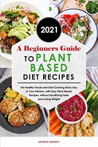 A Beginners Guide to Plant Based Diet Recipes 2021