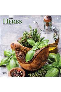 Herbs 2020 Square
