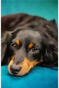 Bullet Journal for Dog Lovers Dachshund Relaxing