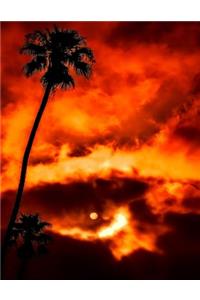 Palm Tree Notebook