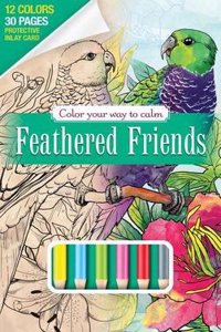 Color Your Way to Calm Feather [With Colored Pencils]