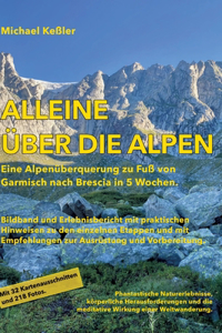 Alleine über die Alpen