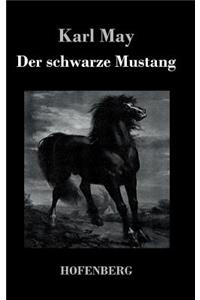schwarze Mustang
