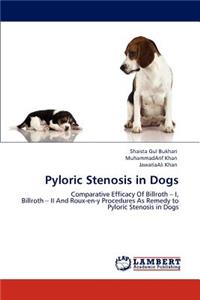 Pyloric Stenosis in Dogs