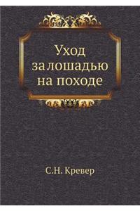 Уход за лошадью на походе