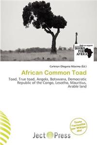 African Common Toad