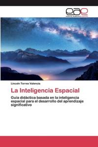 Inteligencia Espacial